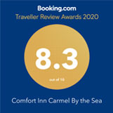 Traveller Review Award 2020