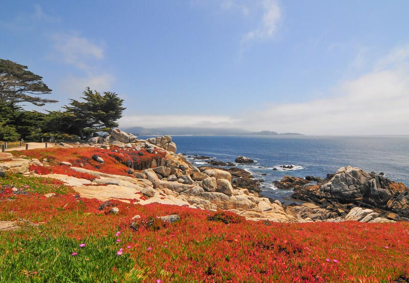 Pebble Beach In Carmel By The Sea, California