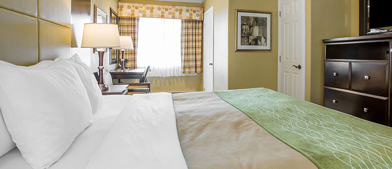 Cozy Hotel Suite In Carmel Comfort Inn Carmel