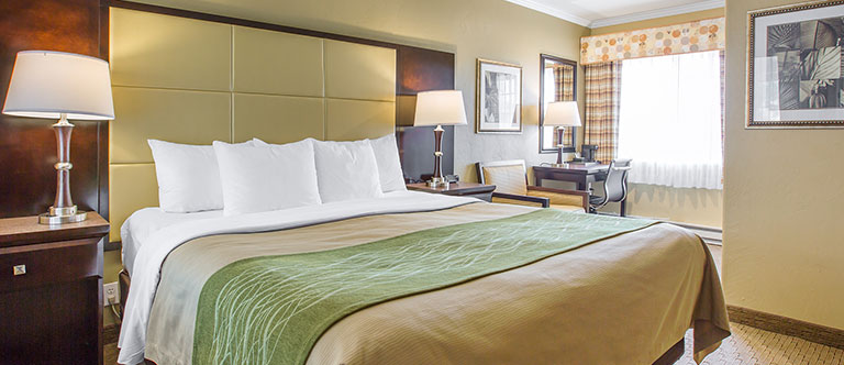 Cozy Hotel Suite In Carmel Comfort Inn Carmel